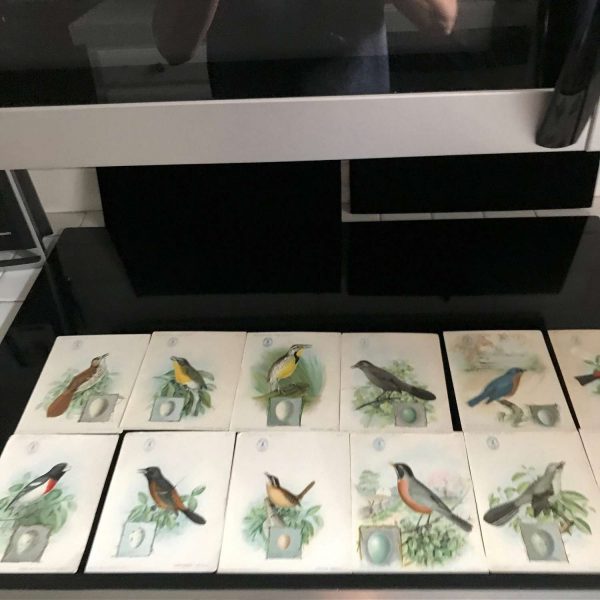 Vintage American Singer Series Sewing machine Bird Advertising cards information on the back  12 cards great detail display collectible