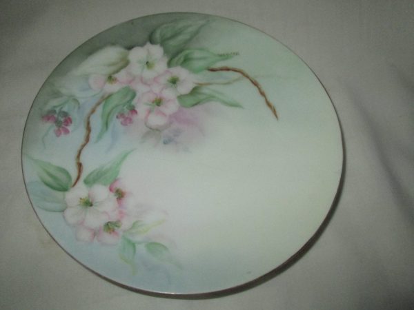 Vintage Hand Painted Decorative Plate Bavaria Germany Fine Porcelain Pink Floral