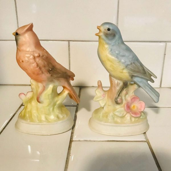 Vintage pair of Birds figurines pastels great detail mid century Japan fine bone china matte finish farmhouse collectible display cottage