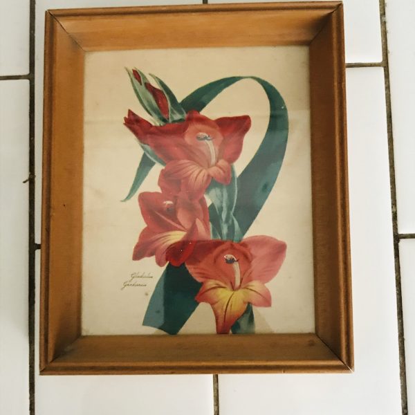 Vintage Pair of Vivid Color Floral Bookplates framed Gladiolus & Oleanders farmhouse collectible bed and breakfast gold ornate frames