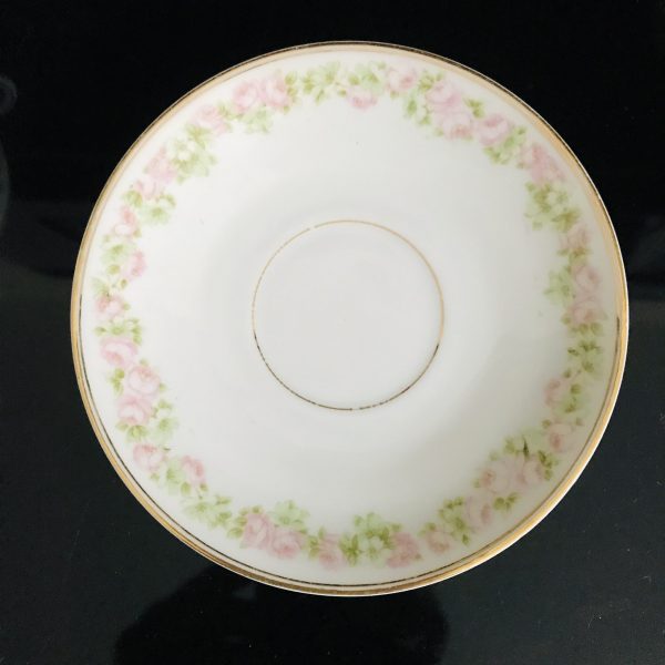 Vintage PE Bavaria Tea cup and saucer Dainty Pink Roses Green Leaves Fine bone china gold trim farmhouse collectible display dining serving