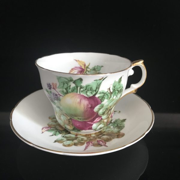 Vintage Regency Tea cup and saucer England Fine bone china Fruit Orchard pattern gold trim farmhouse collectible display cottage shabby chic