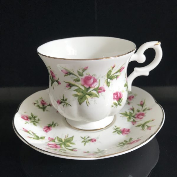 Vintage Royal Canterbury Tea cup and saucer Fine bone china England Pink Roses farmhouse collectible display dining serving coffee bridal
