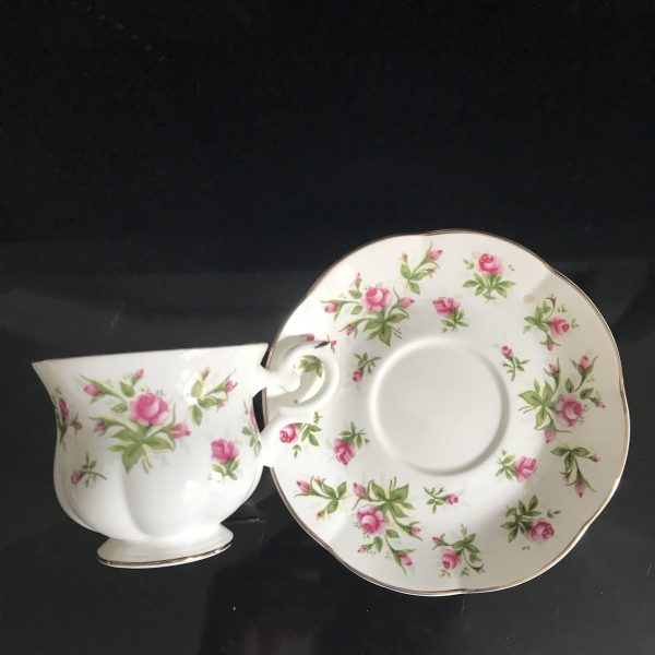 Vintage Royal Canterbury Tea cup and saucer Fine bone china England Pink Roses farmhouse collectible display dining serving coffee bridal