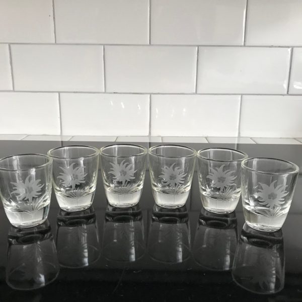 Vintage set of 6 shot glasses with Thistle Etched pattern 2 oz bar ware collectible display retro dining kitchen