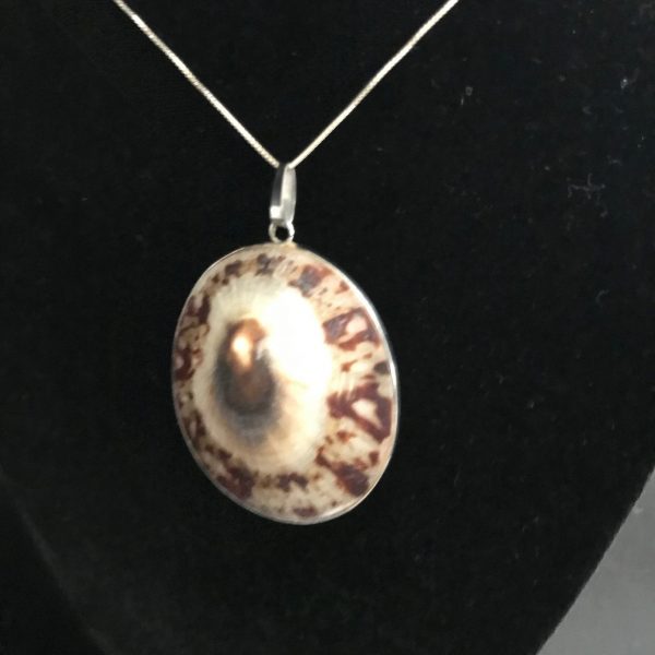 Vintage shell necklace trimmed in sterling with sterling box chain 18" chain