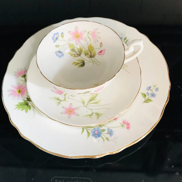 Vintage Shelley Tea cup and saucer TRIO England Fine bone china Pink and Blue Floral with snack plate gold trim farmhouse cottage