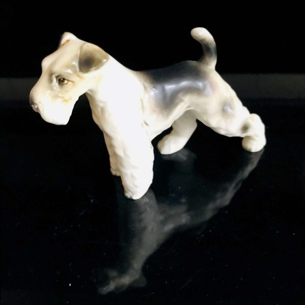 Wire hair Fox Terrier Dog Figurine matte finish fine bone china Japan 6" across collectible display farmhouse cottage bedroom