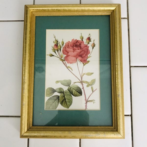 Vintage wall decor miniature rose and rose buds pink with green matting gold frame farmhouse collectible display bread and breakfast