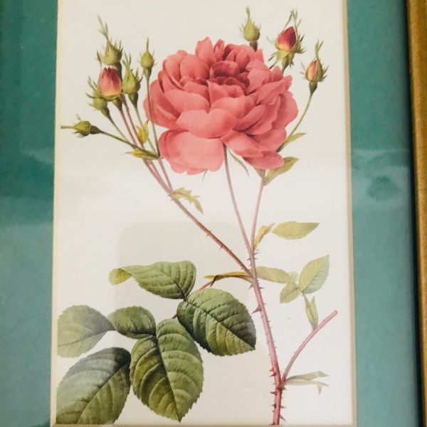 Vintage wall decor miniature rose and rose buds pink with green matting gold frame farmhouse collectible display bread and breakfast