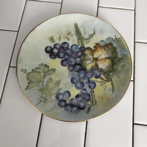 Georgous Hand Painted Plate Germany grapes Hutchenreuther Selb Bavaria Farmhouse Collectible  Cottage Wedding Bridal Shower Fine china