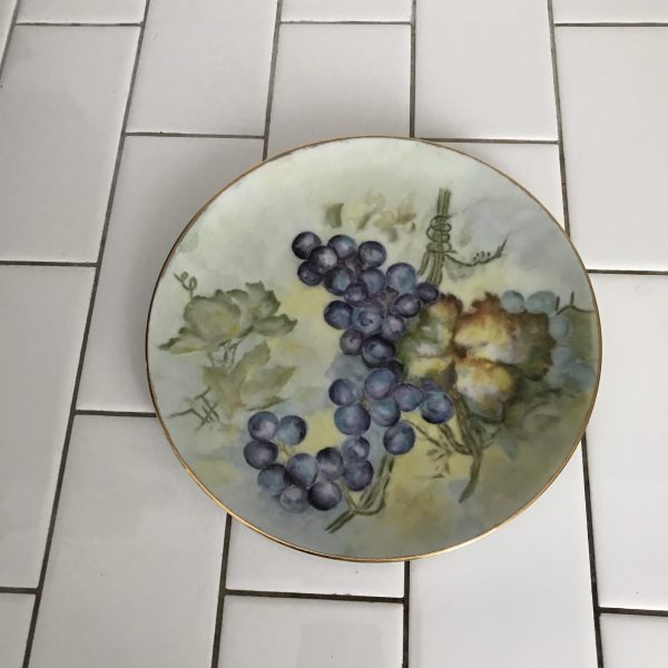 Georgous Hand Painted Plate Germany grapes Hutchenreuther Selb Bavaria Farmhouse Collectible  Cottage Wedding Bridal Shower Fine china