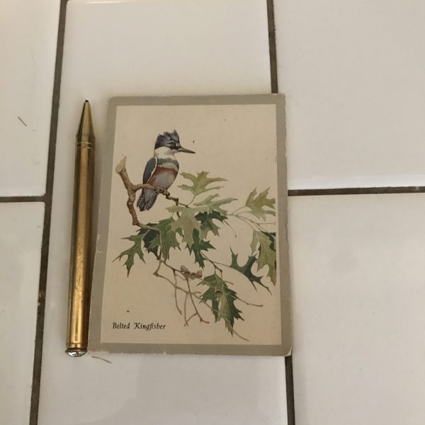 Vintage purse accessories small note pad with rhinestone end mechanical pencil collectible Belted Kingfisher bird front page