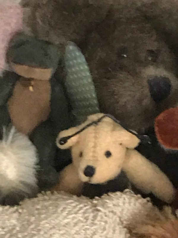 Fantastic Bear Collection in mini suitcase with key Steiff Boyds Mohair Velvet Corduroy Moose Rabbit Lion Frog Bumble Bee Miniatures Jointed
