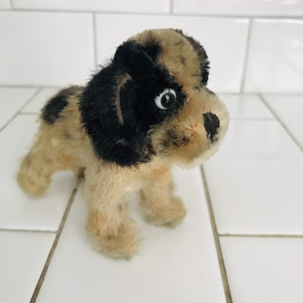 Steiff Cockie Cocker Spaniel Plush Animal 1940's Mini Mohair 4" with red collar collectible display farmhouse child's room
