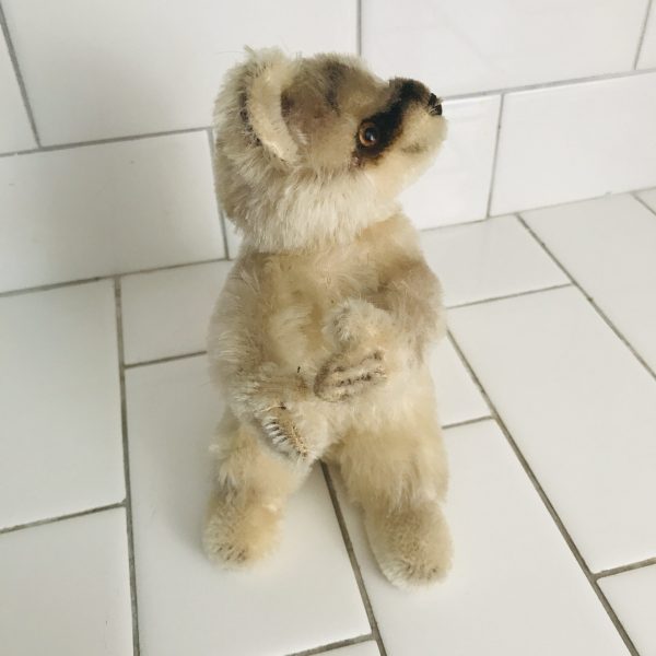 Steiff Original Vintage 1950's Germany Mohair Raccy the Raccoon Rotating Head 6" tall collectible display farmhouse child's room Vintage
