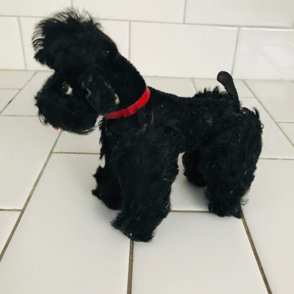 Steiff Poodle Snobby Plush Black Animal 1940's Mini Mohair Sitting Standing 5" with ear button & collar collectible display farmhouse