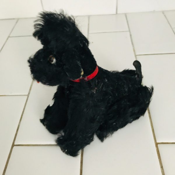 Steiff Poodle Snobby Plush Black Animal 1940's Mini Mohair Sitting Standing 5" with ear button & collar collectible display farmhouse