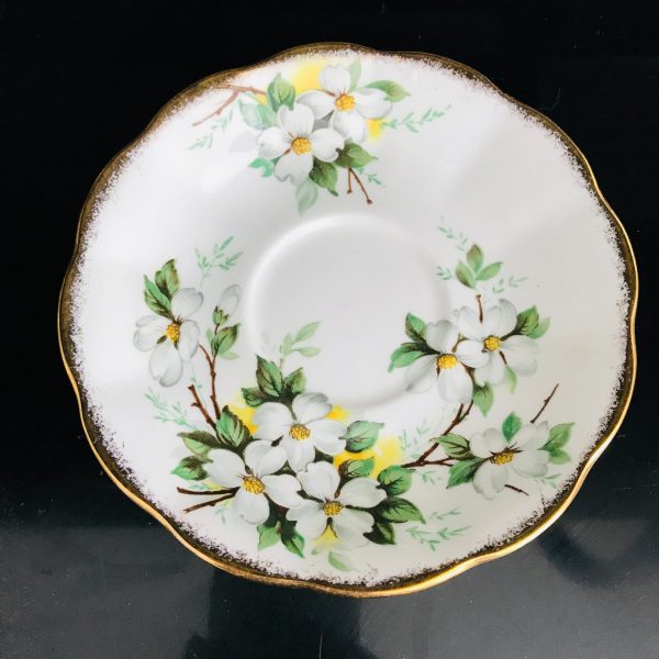 Royal Albert tea cup and saucer England Fine bone china White Dogwood yellow centers green leaves  farmhouse collectible display coffee