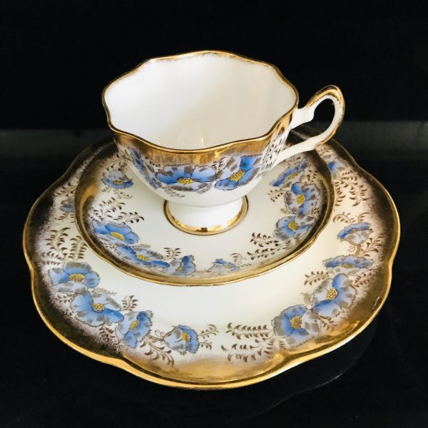 Salisbury Tea cup and saucer Trio England Fine bone china blue Flowers heavy gold trim farmhouse cottage collectible display serving