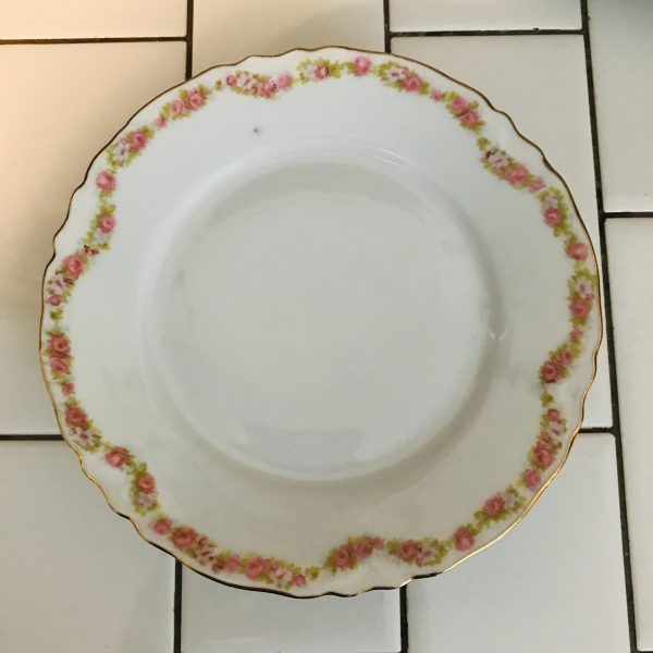 Vintage Dinnerware set H & Co. Bavaria Tiny light and dark pink Rose swag pattern collec fine bone china