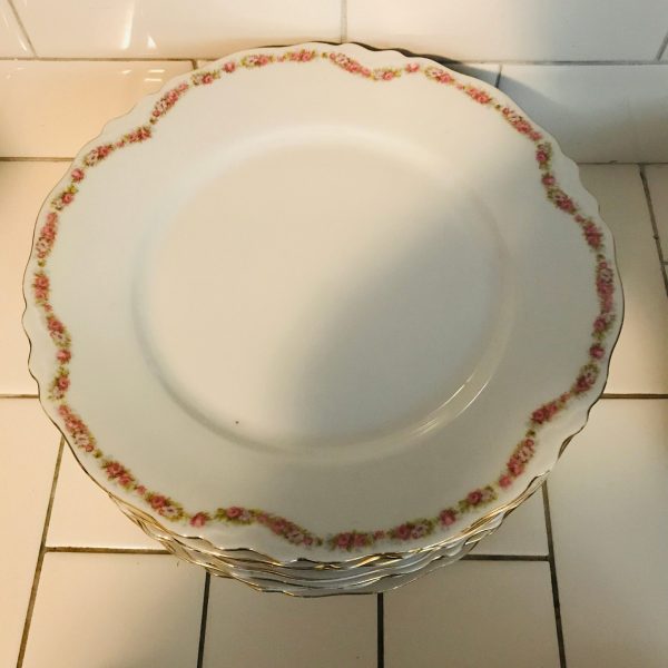 Vintage Dinnerware set H & Co. Bavaria Tiny light and dark pink Rose swag pattern collec fine bone china
