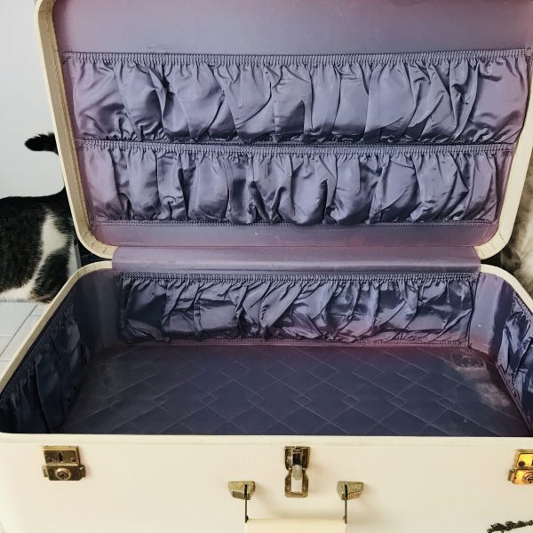 Vintage Samsonite Extra large Suitcase gold tone clasps Luggage Storage Travel hard side Lavender Lined farmhouse cottage Lady Baltimore