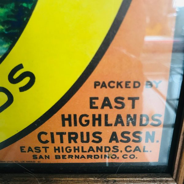 Vintage Sunkist label Framed under glass square shipping label East Highlands Calif. collectible display advertising