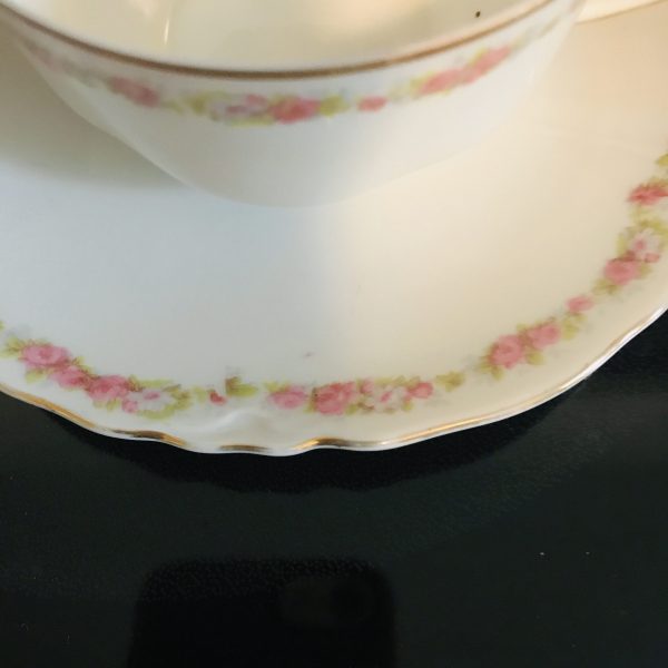 Vintage Tea cup and saucer H & Co. Bavaria Tiny light and dark pink Rose swag pattern collec fine bone china