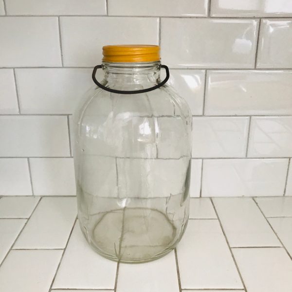 Vintage Apothecary Glass Lidded Jar Medical kitchen storage Collectible Shells Marbles Farmhouse Cottage Cabin Kitchen display animal treats