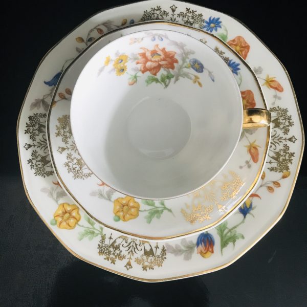 Vintage Limoges Tea Cup and Saucer TRIO Theadore Haviland Fine bone china France Collectible Display Farmhouse dining serving