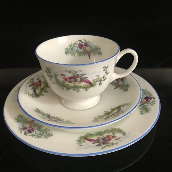 Aynsley Tea Cup and Saucer TRIO Colorful Birds with Blue trim Fine porcelain England Collectible Display Farmhouse