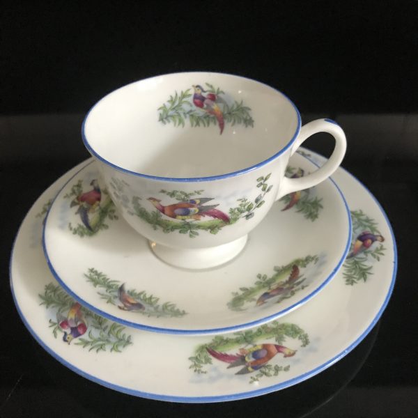 Aynsley Tea Cup and Saucer TRIO Colorful Birds with Blue trim Fine porcelain England Collectible Display Farmhouse