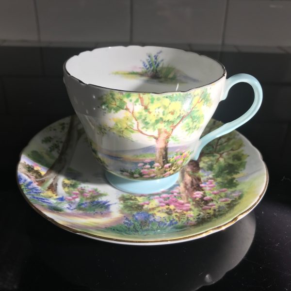 Shelley Tea cup and saucer England Fine bone china light blue trim with country scene and heavy flowers farmhouse cottage coffee display