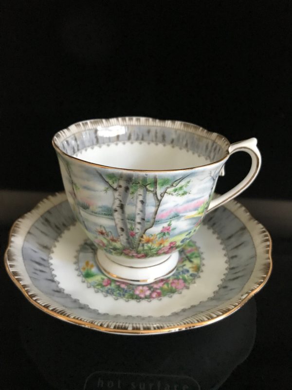 Vintage Royal Albert Tea cup and saucer Silver Birch England Fine bone china gold trim farmhouse collectible display dining serving