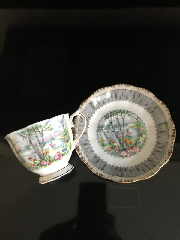 Vintage Royal Albert Tea cup and saucer Silver Birch England Fine bone china gold trim farmhouse collectible display dining serving