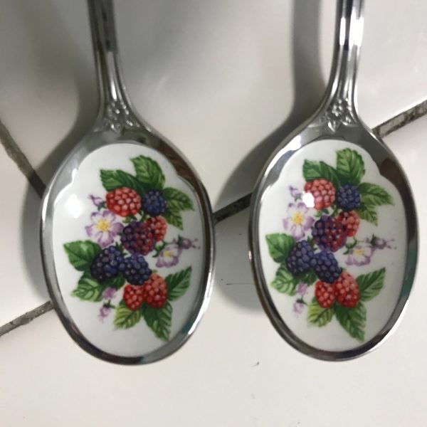 Vintage Spoons Enameled centers fruit patterns Pair Avon stainless steel collectible display tea party fruit spoons