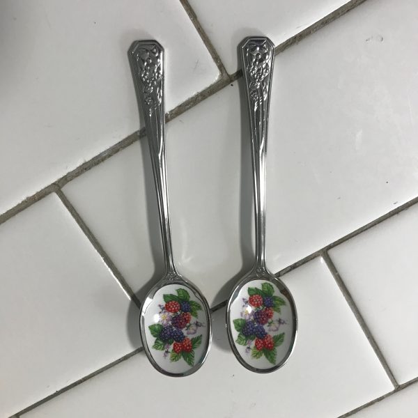 Vintage Spoons Enameled centers fruit patterns Pair Avon stainless steel collectible display tea party fruit spoons