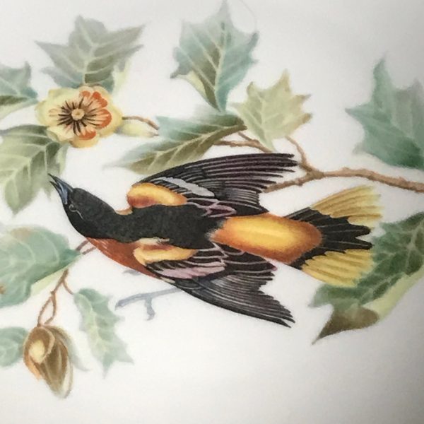 Hutchenreuther Baltimore Oriole tea cup and saucer TRIO Bavaria Germany Fine bone china farmhouse collectible display coffee Bird Lover