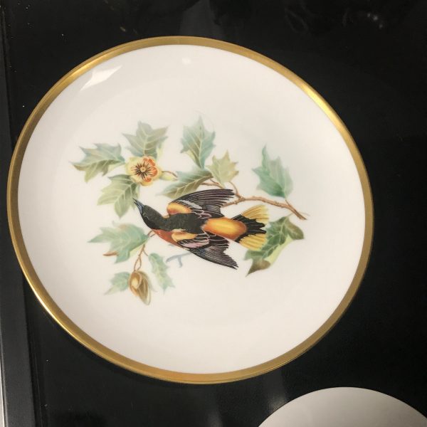 Hutchenreuther Baltimore Oriole tea cup and saucer TRIO Bavaria Germany Fine bone china farmhouse collectible display coffee Bird Lover