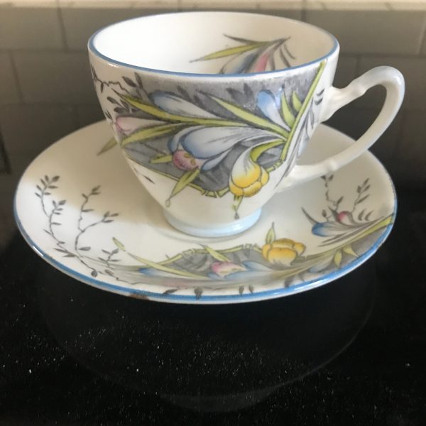 PAIR Vintage Royal Stafford Tea cups and saucers Crocus Pastel Flowers England light blue trim farmhouse collectible display coffee