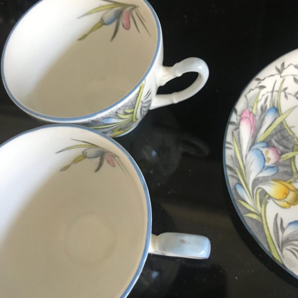 PAIR Vintage Royal Stafford Tea cups and saucers Crocus Pastel Flowers England light blue trim farmhouse collectible display coffee