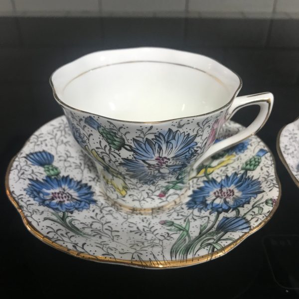 Rosina Tea Cup and Saucer Fine bone china England Chintz Flowers black with pink yellow blue green Collectible Display Farmhouse bridal