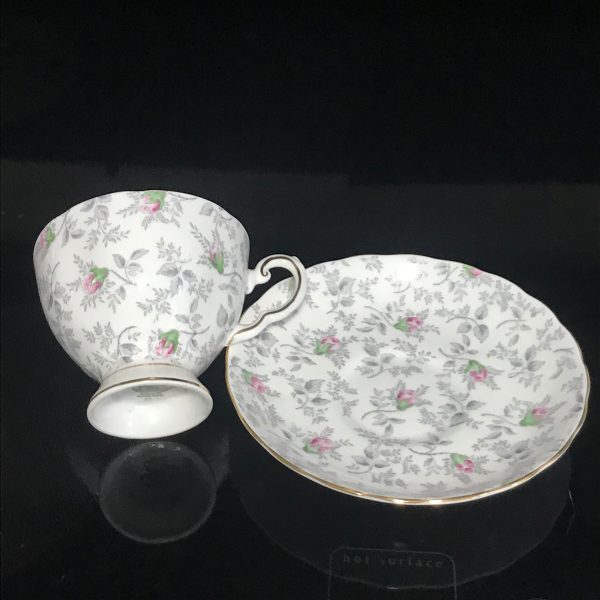 Tuscan tea cup and saucer England Fine bone china Pink Roses Gray leaves and stems Chintz farmhouse collectible display dining floral