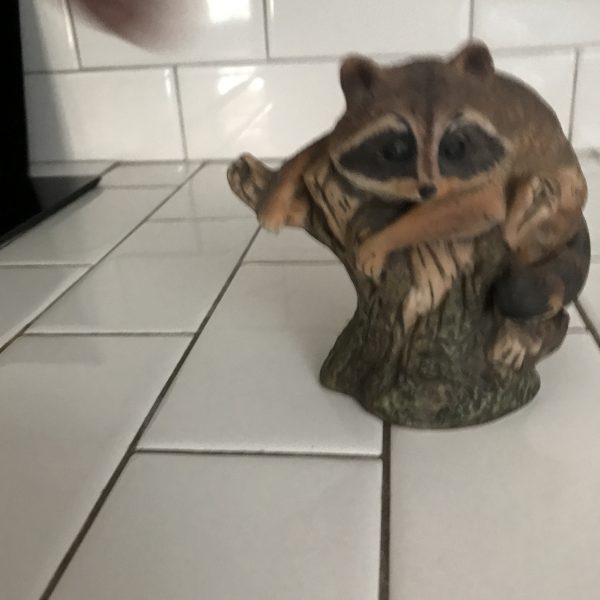 Vintage Raccoon porcelain figurine collectible cabin lodge display hunting living room home decor