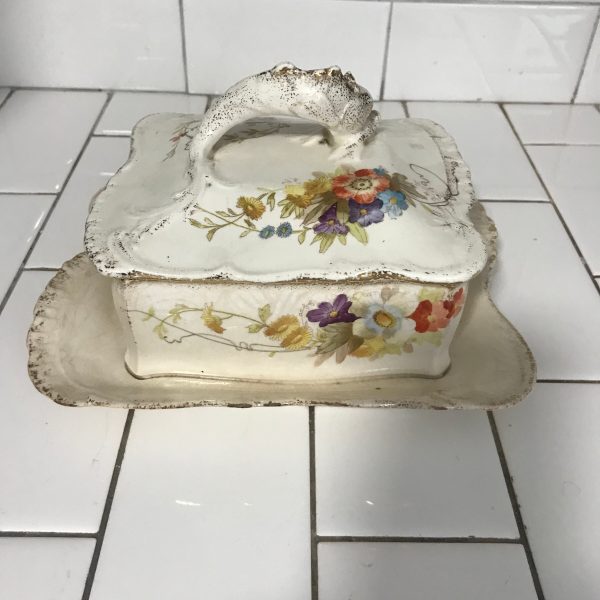 Antique turn of the century covered butter dish collectible display farmhouse poppies and thistle made by Ludwig Wessel Bonn Germany