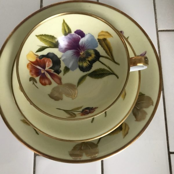 Stunning RW Bavaria Tea cup and saucer Rudolf Wacther Light Yellow with floral inside ornate detail floral front farmhouse collectible TRIO