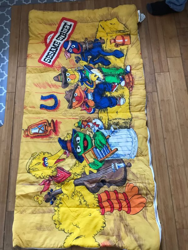 Vintage 1980's Sesame Street Sleeping Bag Vibrant colors great condition Colorful Rare Pattern childs room collectible Children