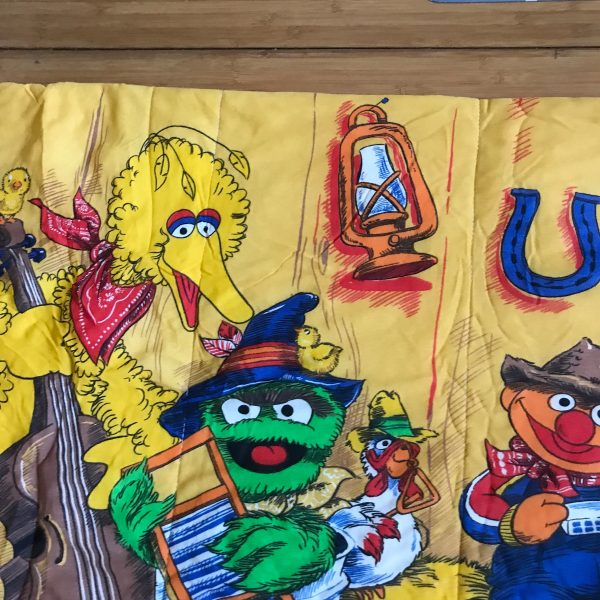 Vintage 1980's Sesame Street Sleeping Bag Vibrant colors great condition Colorful Rare Pattern childs room collectible Children