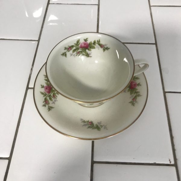 Vintage demitasse Rosenthal Cabbage rose Gold trimmed on Ivory detailed leaves and pink roses farmhouse collectible display